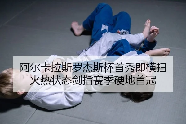 a-er-ka-la-si-luo-jie-si-bei-shou-xiu-ji-heng-sao-huo-re-zhuang-tai-jian-zhi-sai-ji-ying-di-shou-guan-2-256.jpg
